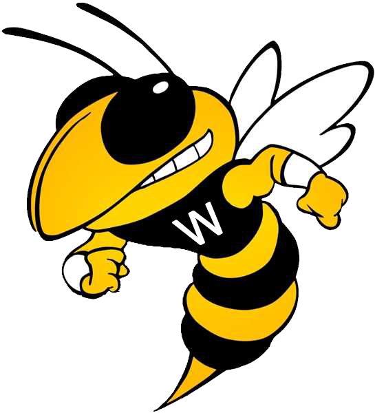 Large 545px × 600px - Georgia Tech Yellow Jackets Football (545x600)