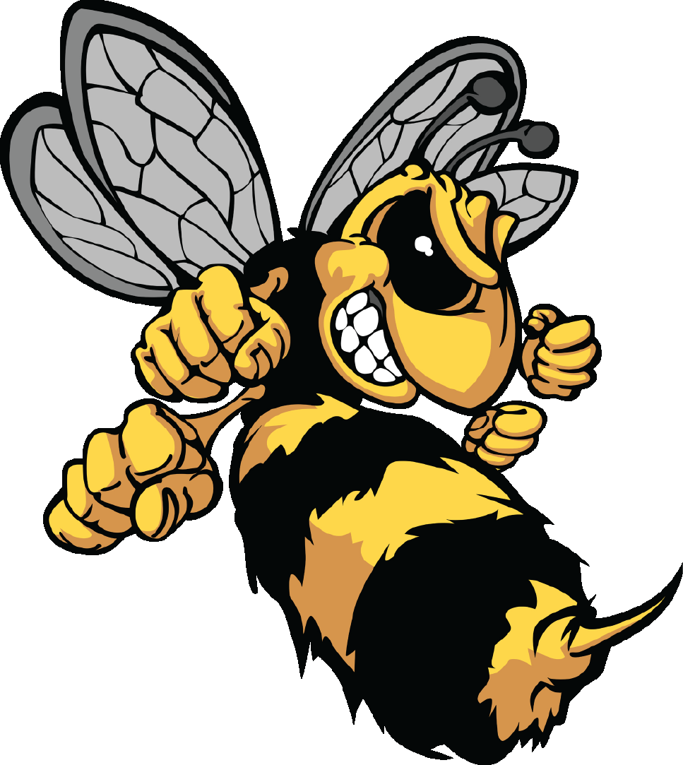 Site Logo - Mean Bee Cartoon (967x1083)