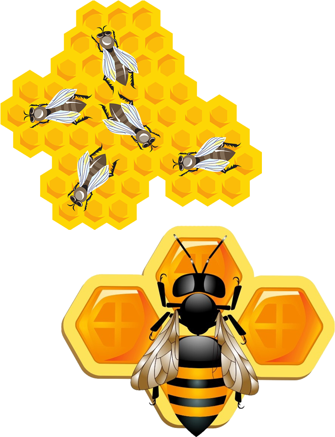 Bee Insect Honeycomb Clip Art - Bee Insect Honeycomb Clip Art (700x900)