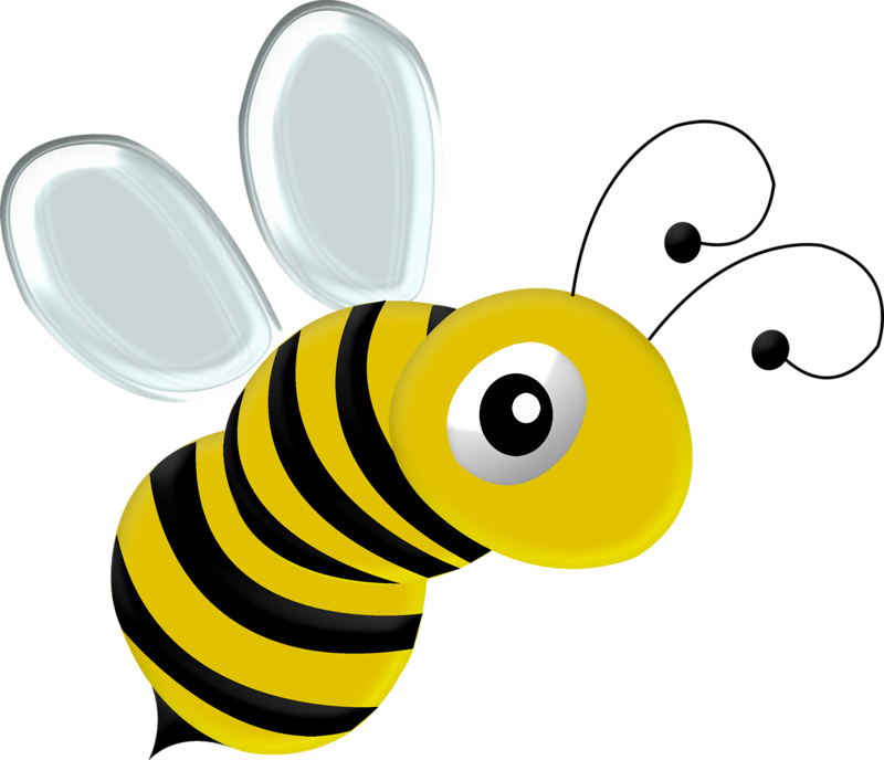 Яндекс - Фотки - Bee (800x688)