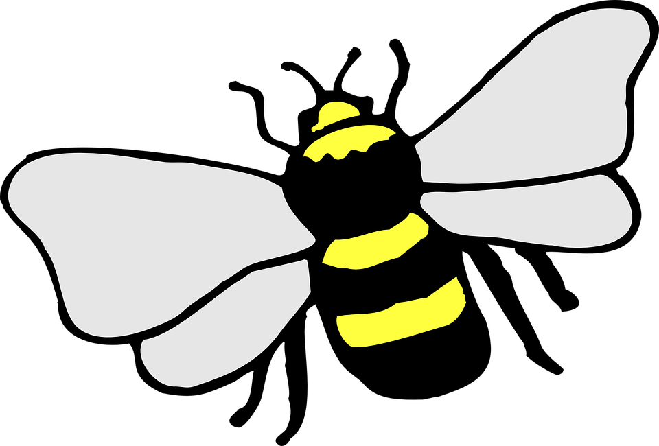 Bee Cartoon (960x650)