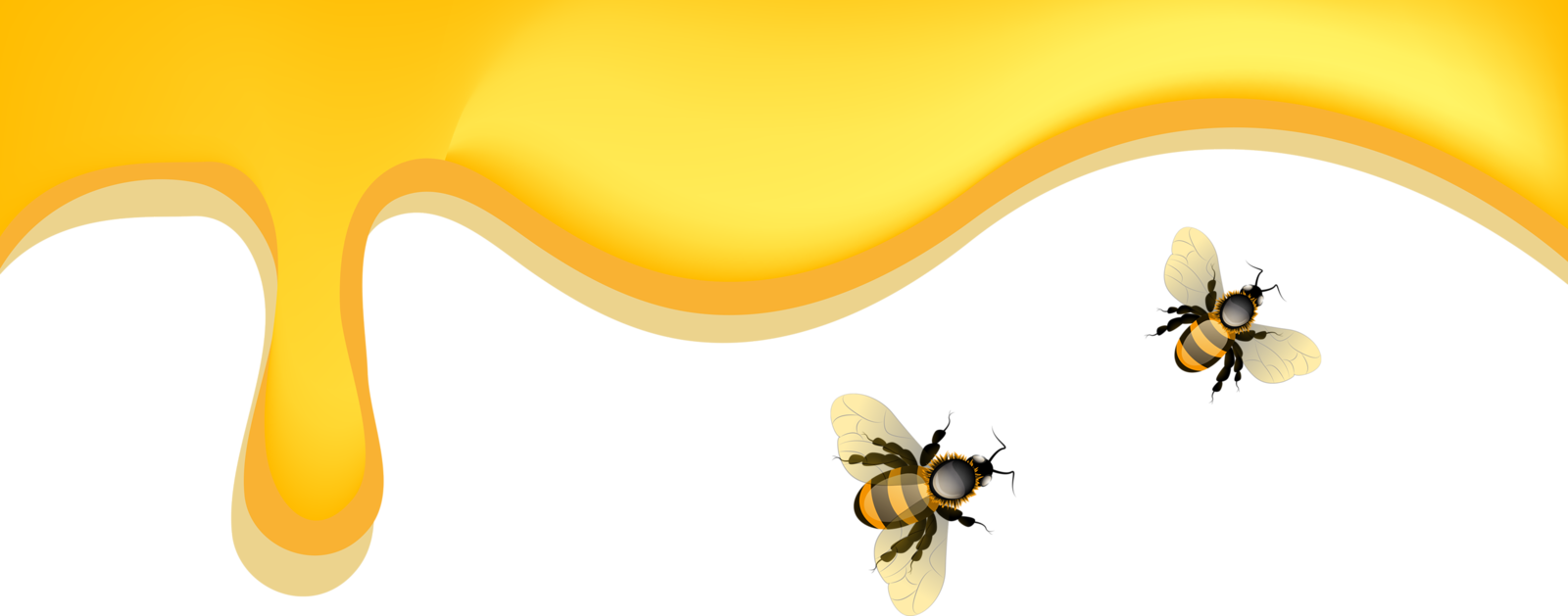 Bees🐝bears🐝honey - Honeybee (1600x629)