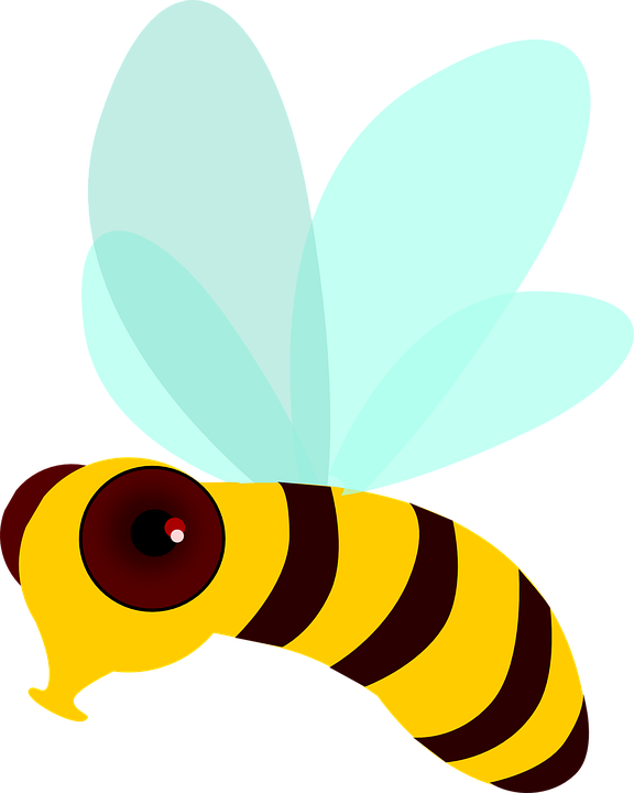 Bee Movie Clip Art At Clker - Bee (576x720)