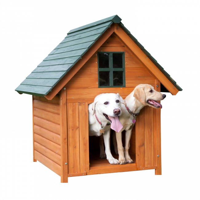 Dog House - Dog House (650x650)
