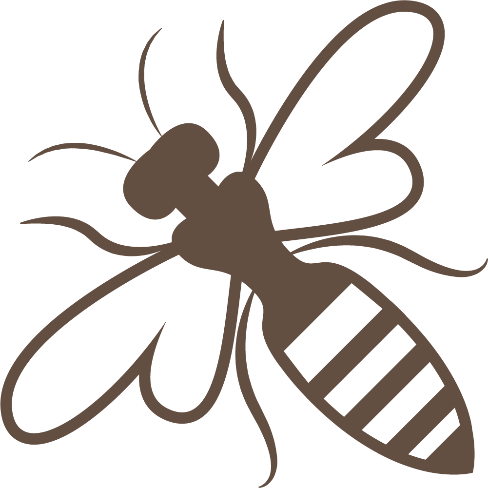 Bee Insect Clip Art - Bee Insect Clip Art (1001x1001)
