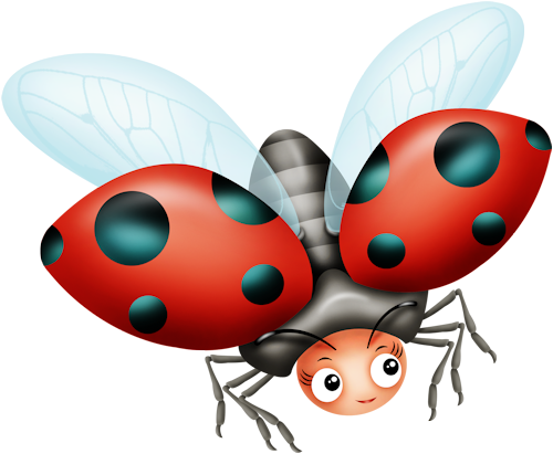 My Bee Maid - Ladybird Beetle (500x411)