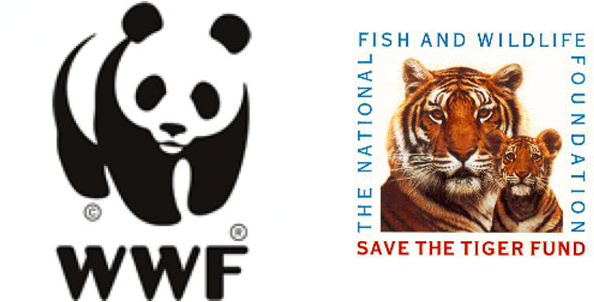 Image - Save The Tigers Foundation (594x302)