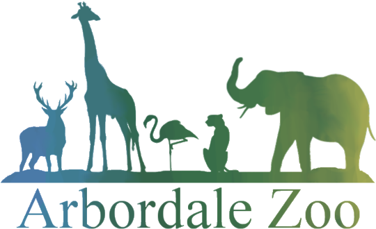 Next To Panda Mountain And Visible From The Indoor - Animal Art 34 T-shirt Love Farm Animals Black Silhouette (547x333)