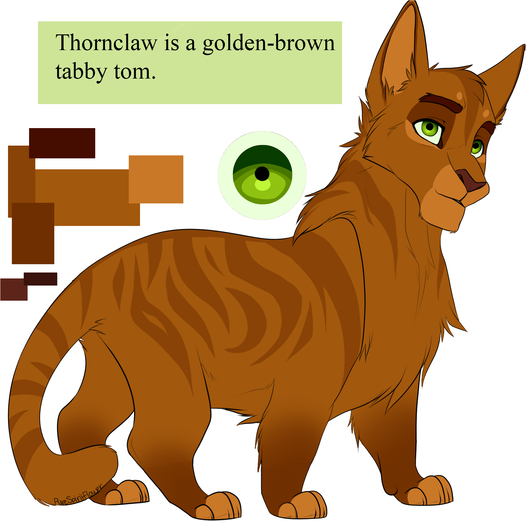 Thornclaw By Purespiritflower Thornclaw By Purespiritflower - Warrior Cat Drawings Purespiritflower (1800x1800)
