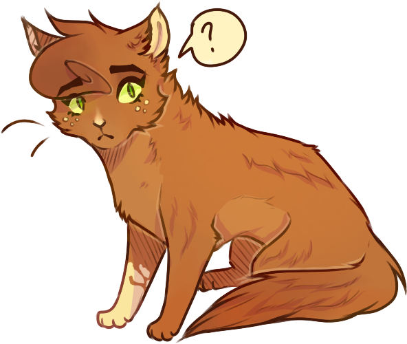 I Aint Got Time To Draw You Guys Get Warrior Cats Fanart - Cat (666x555)