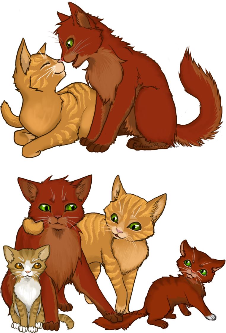 Cat Cat - Warrior Cat Cat Poses (762x1119)