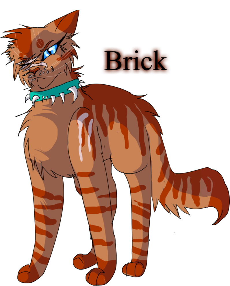 30 Day Warrior Cats Challenge By Warriorcat3042 - 30 Day Warrior Cat Drawing Challenge (800x1000)