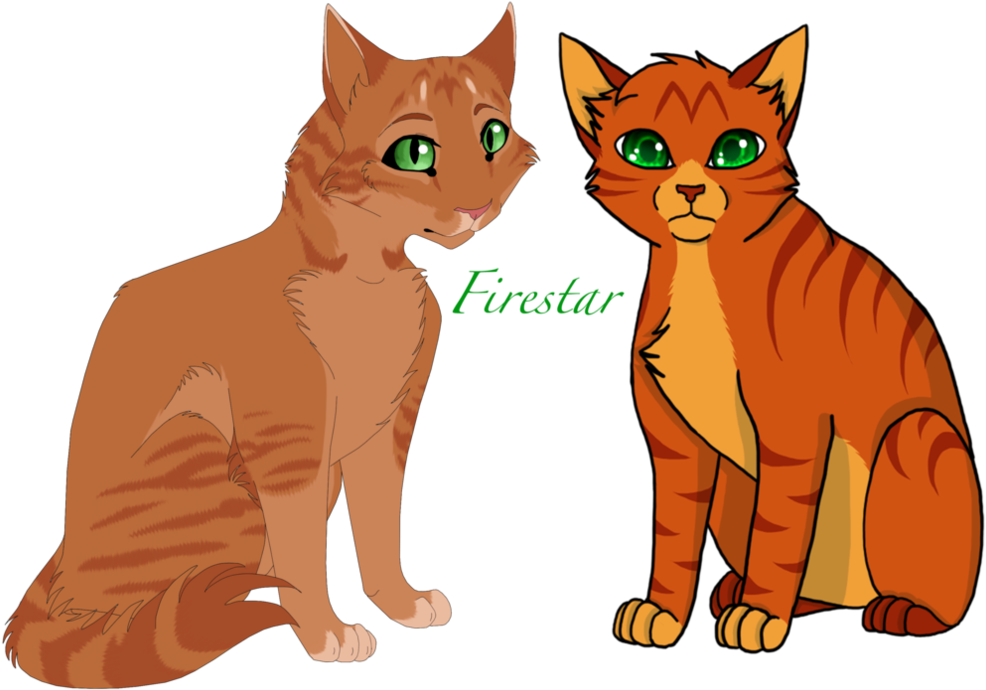 All Warrior Cats Challenge - Warrior Cats T Shirt (1017x786)
