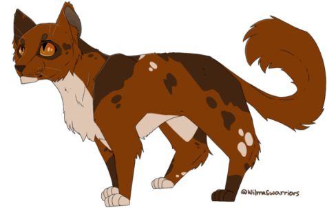 Wilmaswarriors 8 0 Redtail Redraw - Art (540x304)