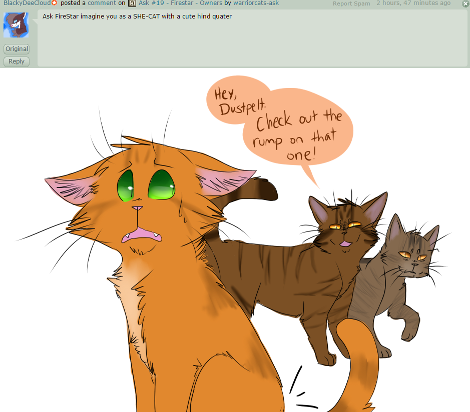 Ask - Warrior Cats Ask Firestar (939x824)