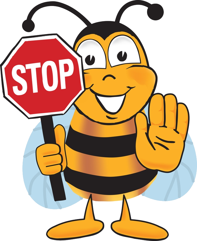 Bee, Abeja, Abelha, Png - Bee Cartoon (654x800)