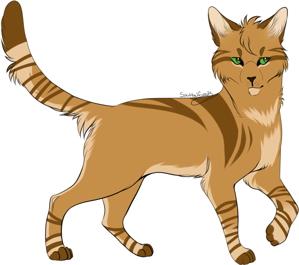 Sparkpaw By Spottedfire23 Sparkpaw By Spottedfire23 - Spottedfire23 Warrior Cats (999x891)