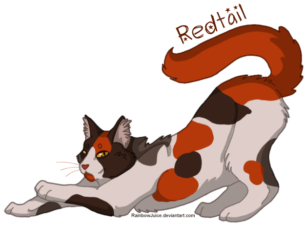Cute Kittens Posing As Sexy Pin-up Girls - Redtail From Warrior Cats (637x472)