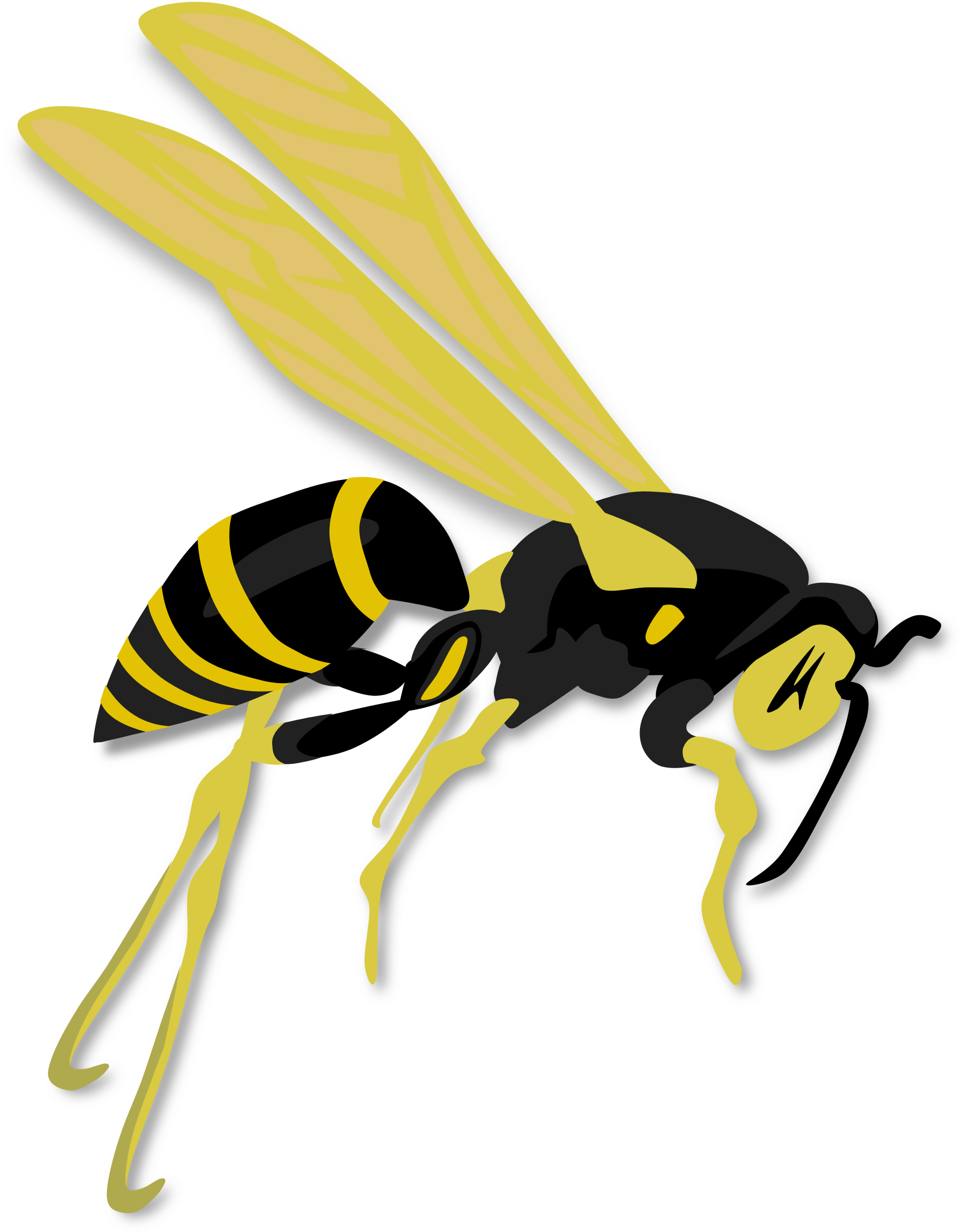 Onlinelabels Clip Art - Wasp Clipart (1877x2400)