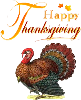 Thanksgiving Trademarks - Turkey Bird Png (335x362)