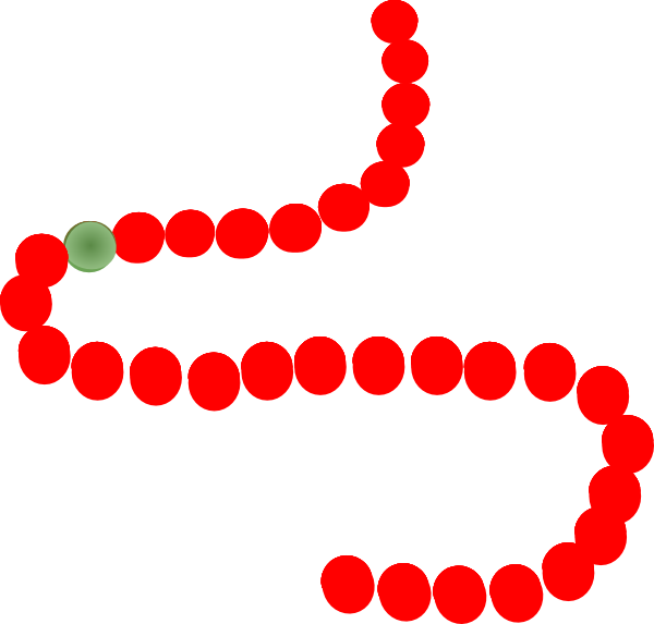 Codes For Insertion - String Of Pearls Clipart (600x573)