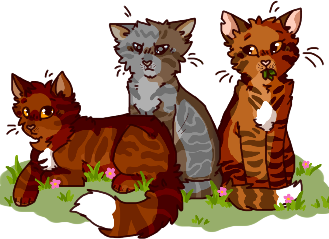 Warriors Warrior Cats Leafpool Jayfeather Alderheart - Warriors Cats Alderheart (1081x803)