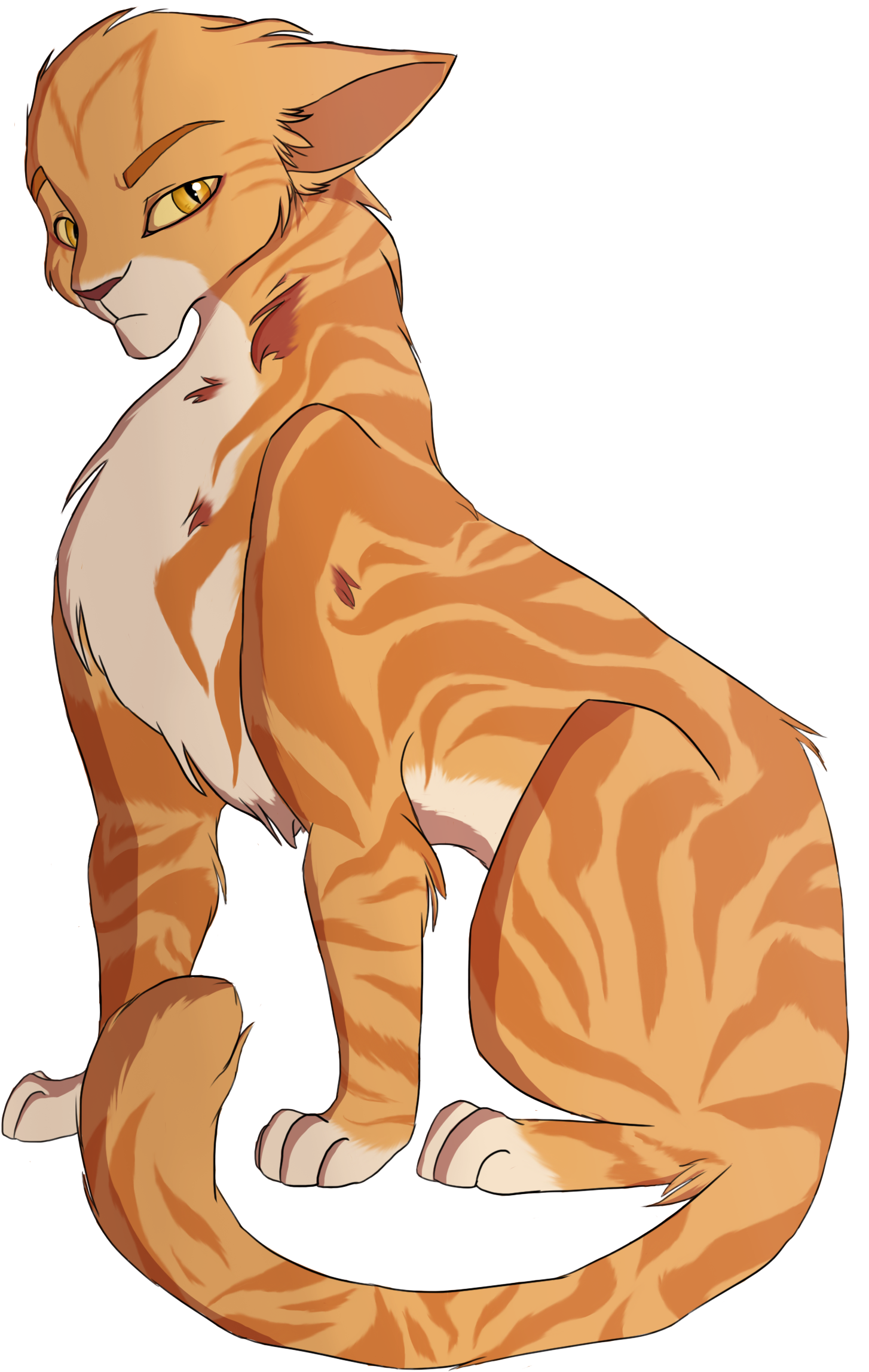 Sandgorse By Purespiritflower Sandgorse By Purespiritflower - Drawing (2458x2794)