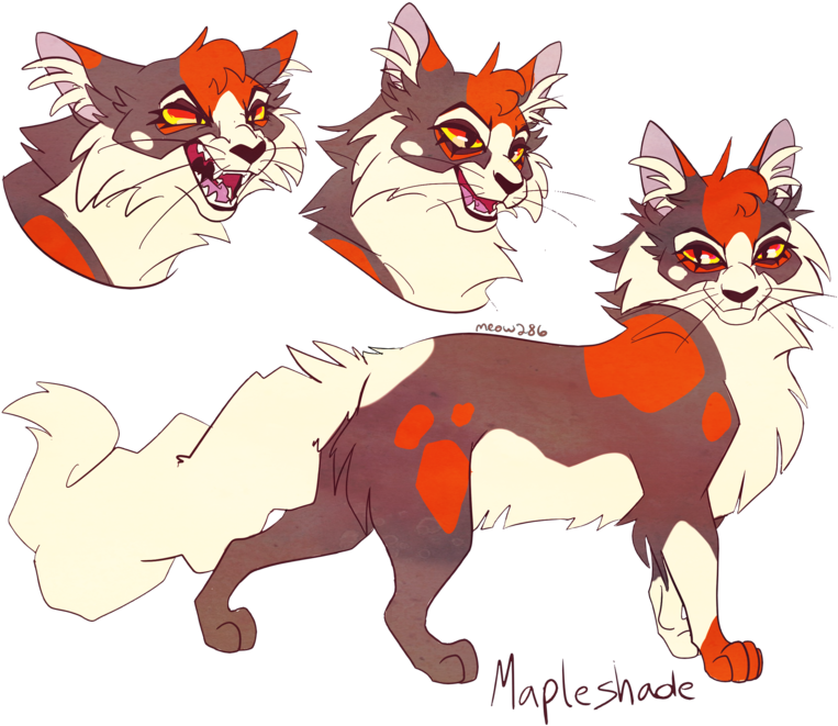 Mapleshade By Meow286 - Meow 286 Warrior Cats (1024x768)