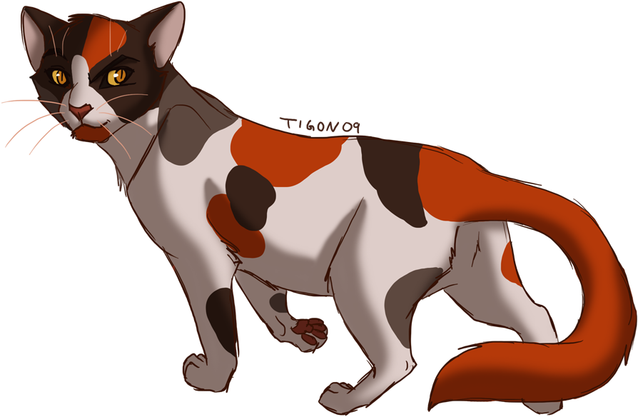 Redtail By Tigon On Deviantart Rh Tigon Deviantart - Colors For Cat Pelts (1000x707)