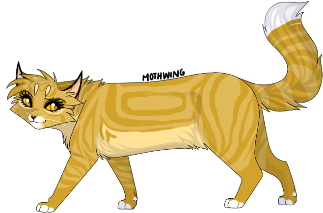 Related Image - Transparent Mothwing Warrior Cat (669x455)