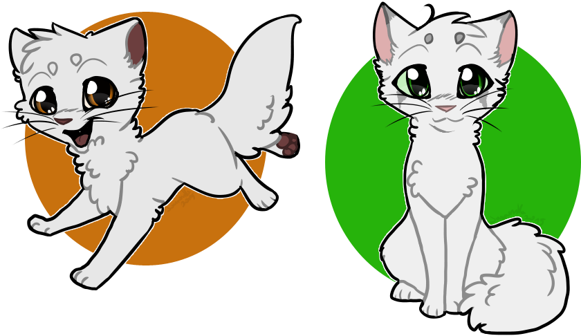 100 Warriors Challenge - Warriors Cats Whitewing (900x550)