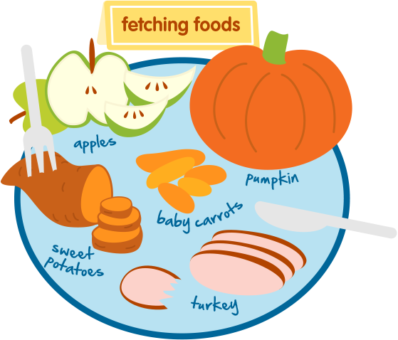 Healthy Thanksgiving Food For Dogs And Cats - Food (559x478)