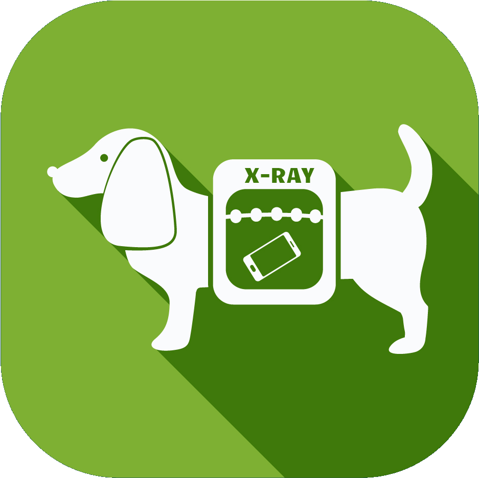 Pet Surgery - Dog X Ray Icon (1163x1074)