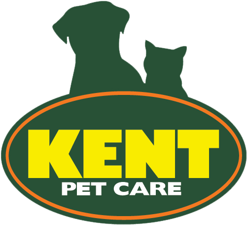 Kent Pet Care - Kent 2 In 1 Car Cleaning Microfibre Noodle Wash Pads (520x480)