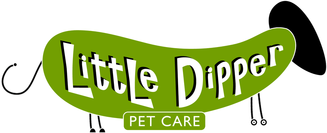 Pet Shuttle, Dog Walking/sitting & Cat Sitting Services - Pet Taxi (1100x462)