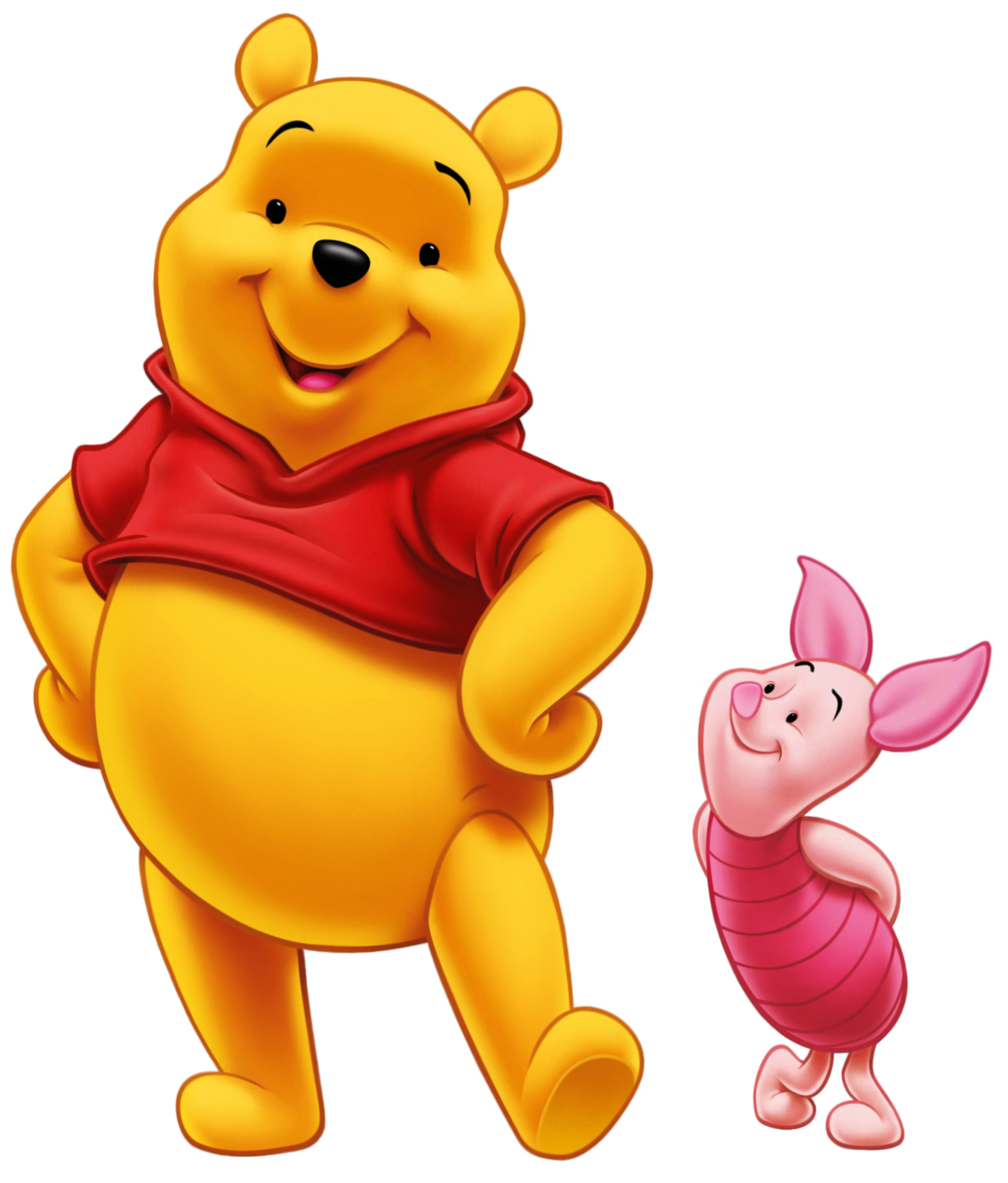 Winnie The Pooh, Piglet Winnie The Pooh Eeyore Cuando - Winnie The Pooh Characters Pooh (1776x2058)