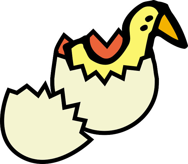 Yellow, Cartoon, Eggs, Egg, Cute, Chick, Crack, Cracked - Egg Hatching Clipart (640x558)