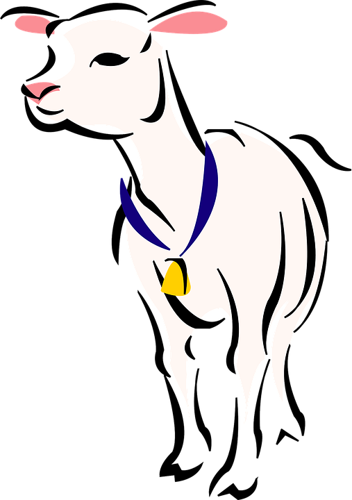 Lamb Cartoon Images 29, Buy Clip Art - Baby Lamb Transparent Png (507x720)