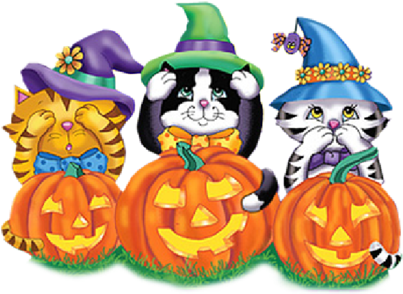 Cute Halloween, Holidays, Searching, Holidays Events, - Halloween Cat Clip Art Free (600x600)