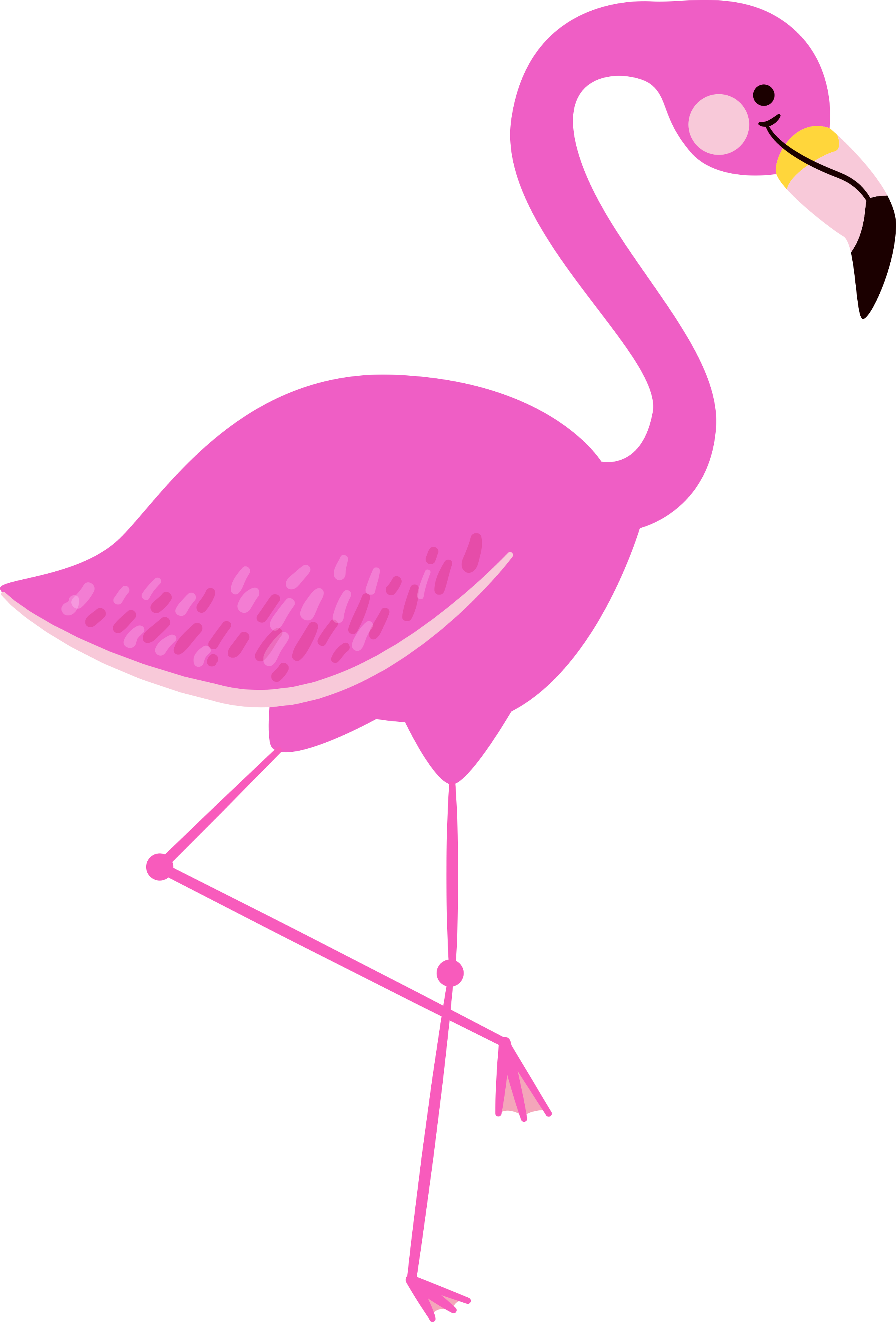 •flamingos - - Clip Art Flamingo Png (2360x3480)