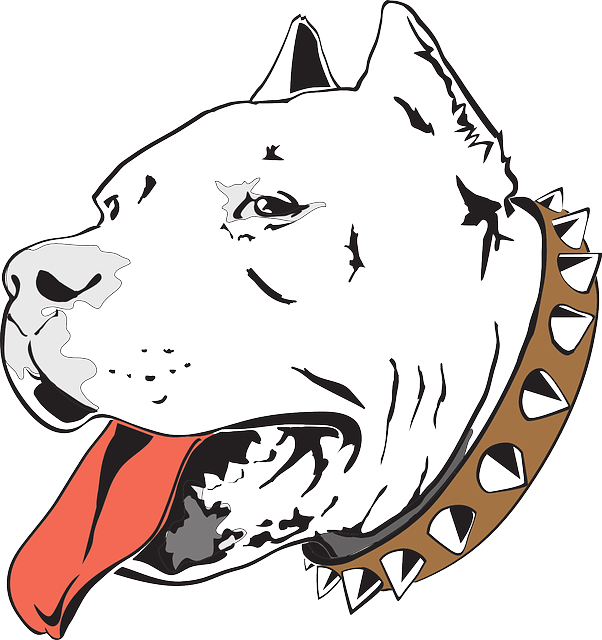 Head, Dog, Bull, Pet, Household, Animal, Pit, Canine - Anjing Pitbull Logo (602x640)