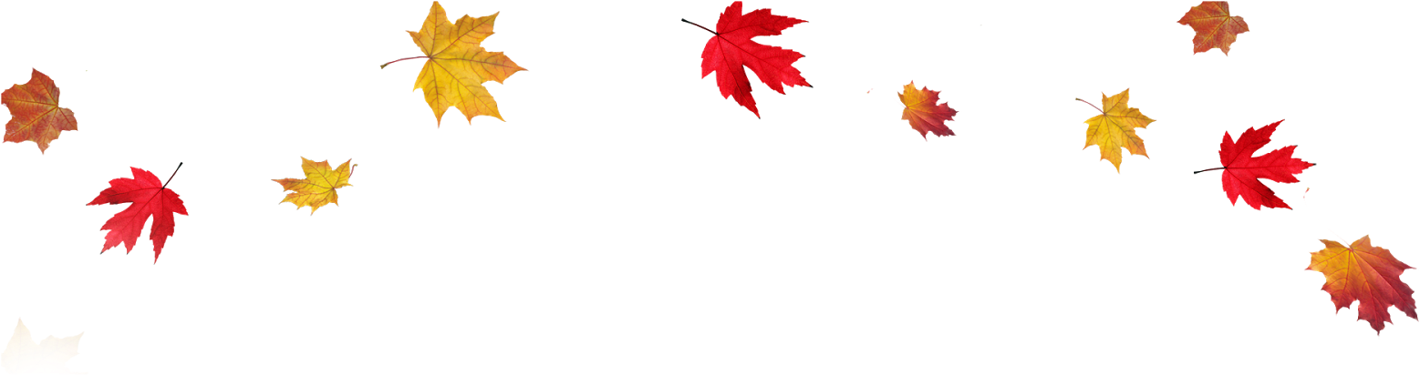 Falling Down Clipart On Transparent Background - Fall Leaves Transparent (1600x900)