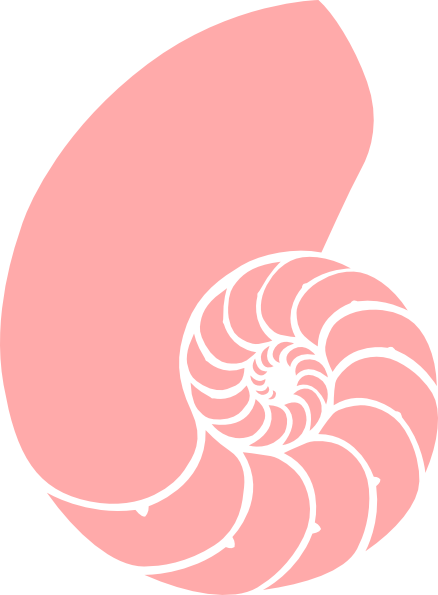 Nautilus Shell Clip Art (438x595)