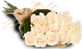 White Roses - 1 Dozen White Roses Bouquet (382x382)