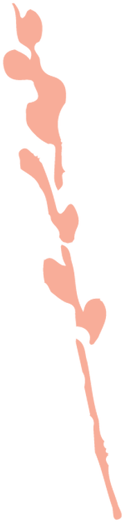 Illustration (299x765)