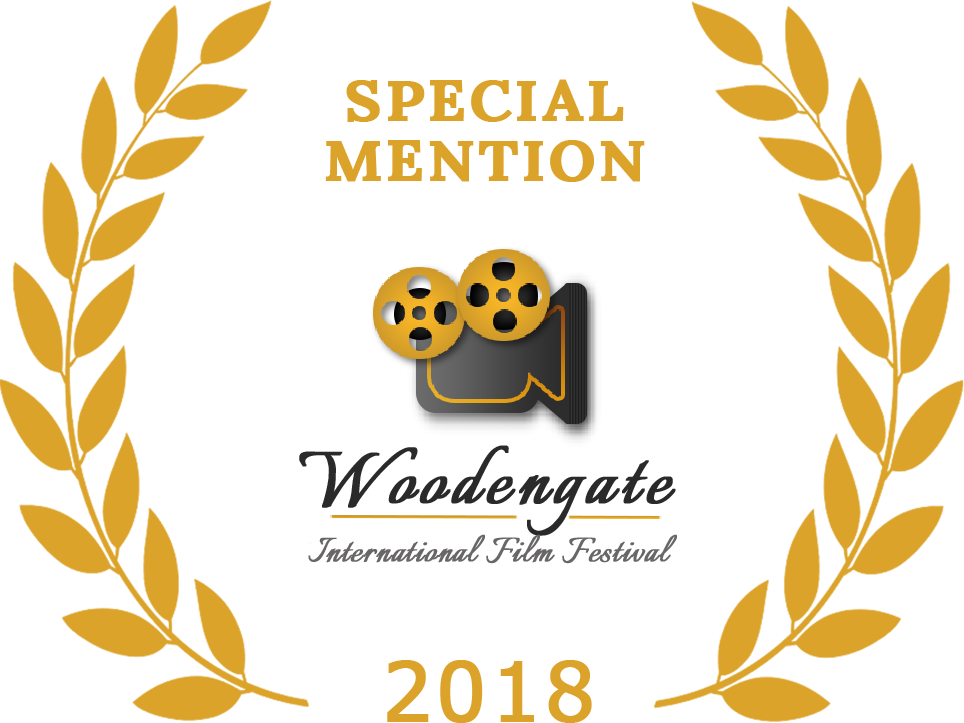 Special Mention In Best Short Film Category - General Assembly First Committee (964x723)