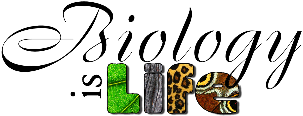 Picture - Biology Project Cover Page (1100x478)