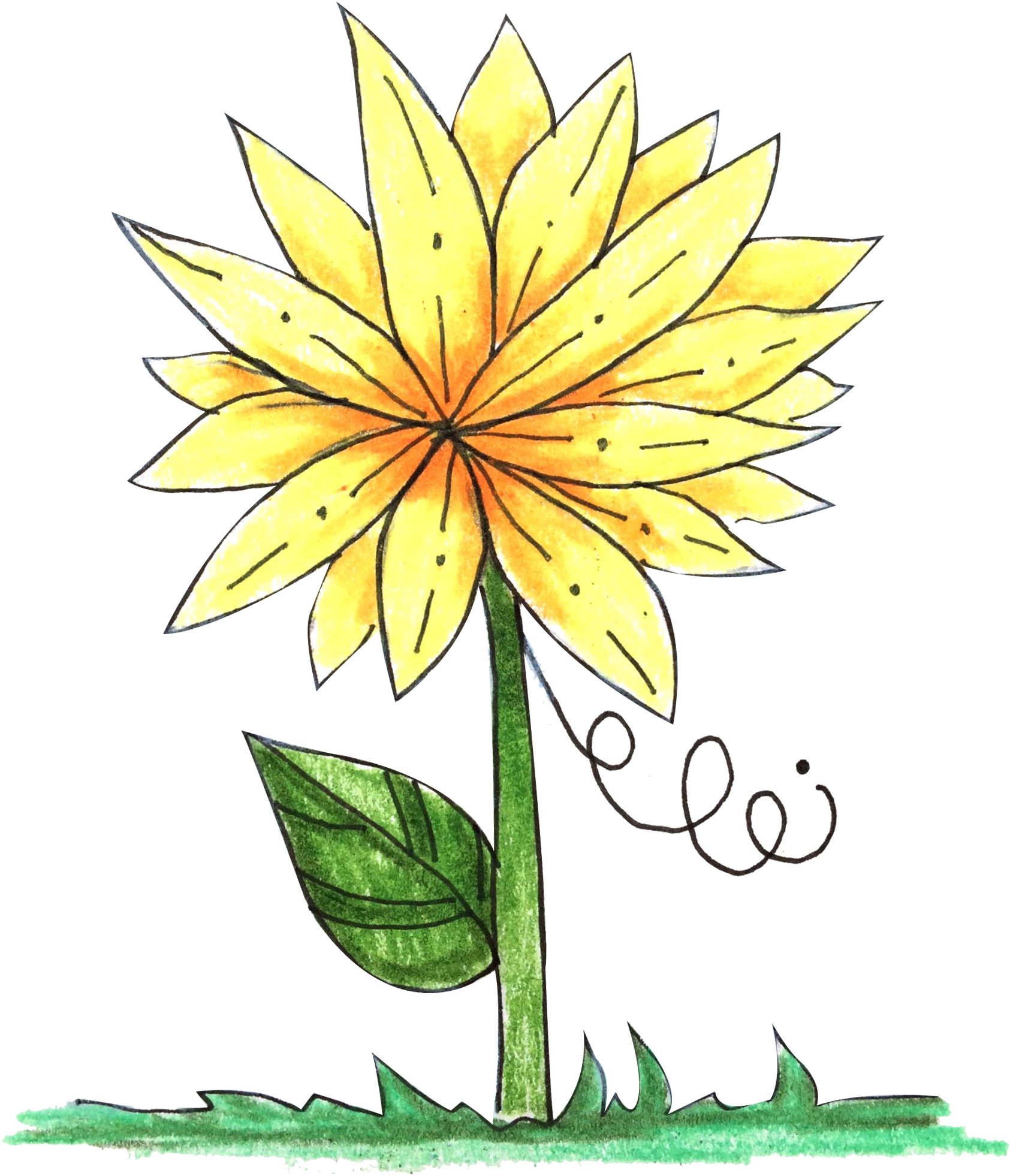 Free Yellow Flower Clipart Download - Clip Art (1709x1989)