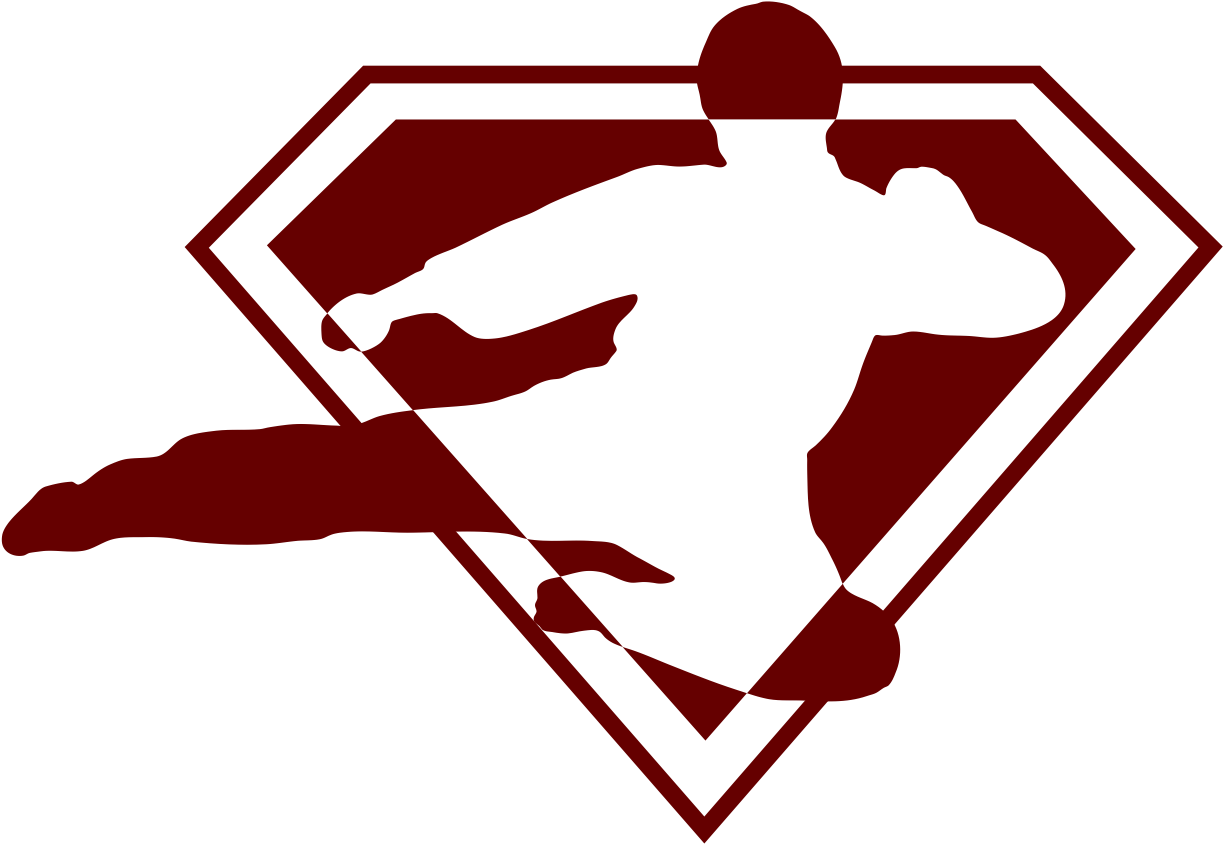 Contact - Super Kicks Karate Leesburg (1233x850)