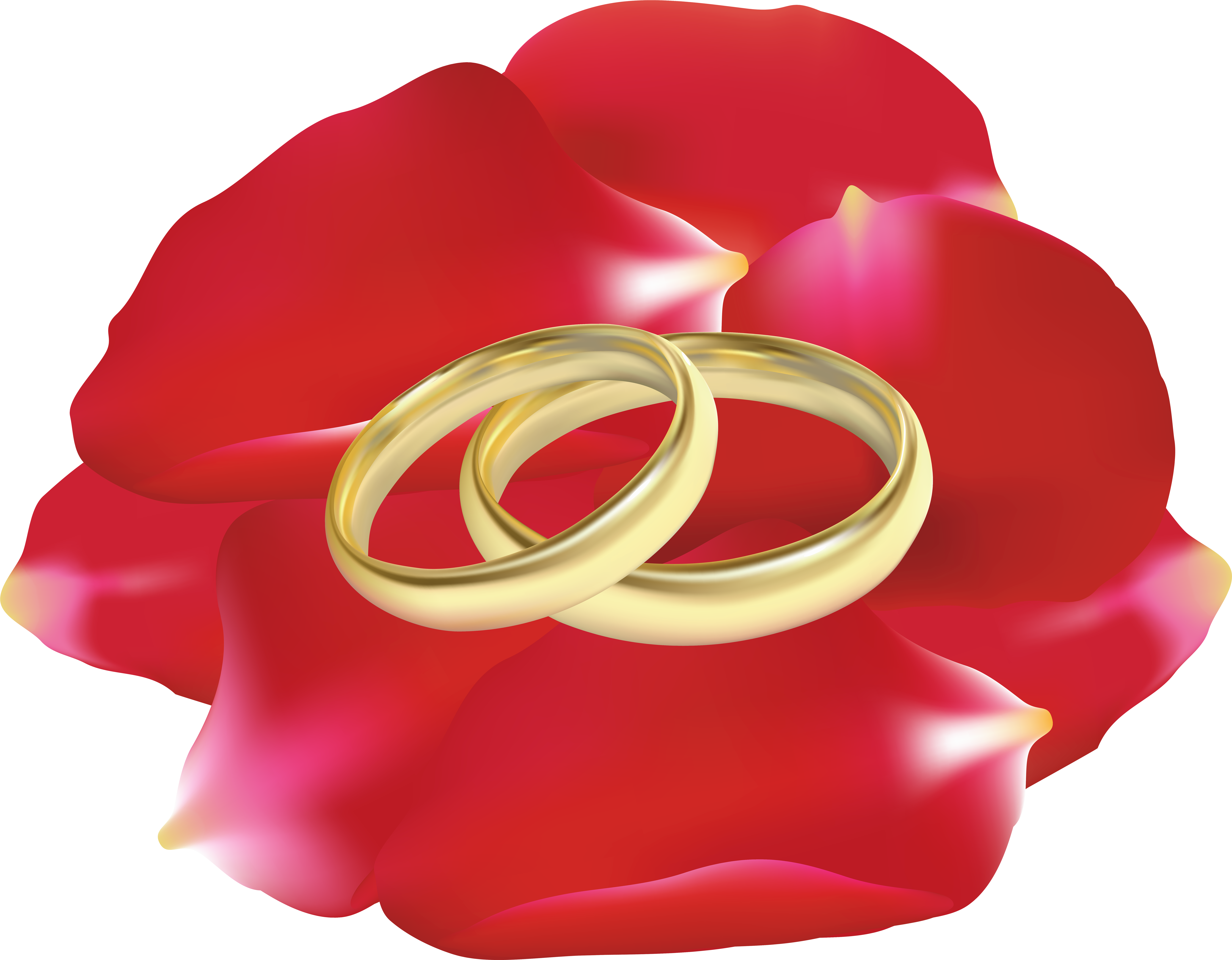 Wedding Rings In Rose Petals Png Clip Art - Wedding Rings In Rose Petals Png Clip Art (8000x6231)
